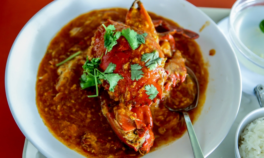 Things to do in Singapore With Kids, Singapore Family Friendly Attractions